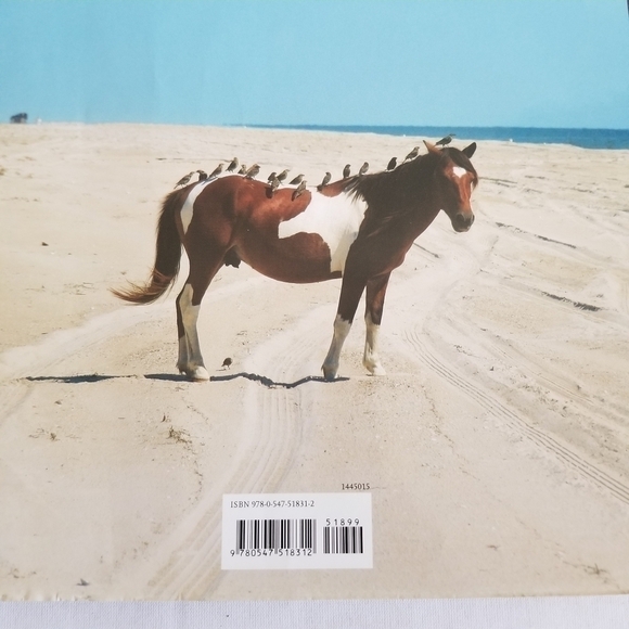 Wild Horse Scientists Book - Picture 4 of 8